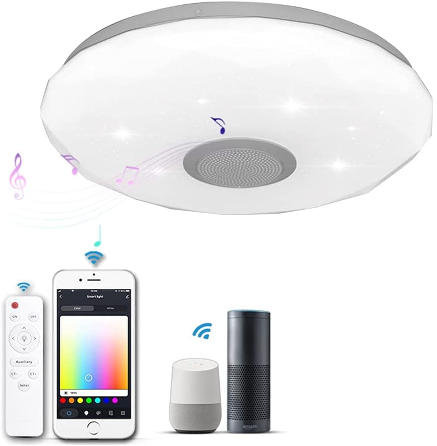 SAYDY LED Flush Mount Ceiling Lights with Bluetooth Speaker, RGB Smart
