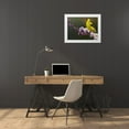 thumbnail image 3 of Vest, Chris 32x25 White Modern Wood Framed Museum Art Print Titled - Goldfinch Flowers, 3 of 4