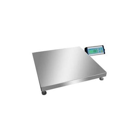 Adam Equipment CPWplus Floor Scale, 150kg Capacity, 50g Readability