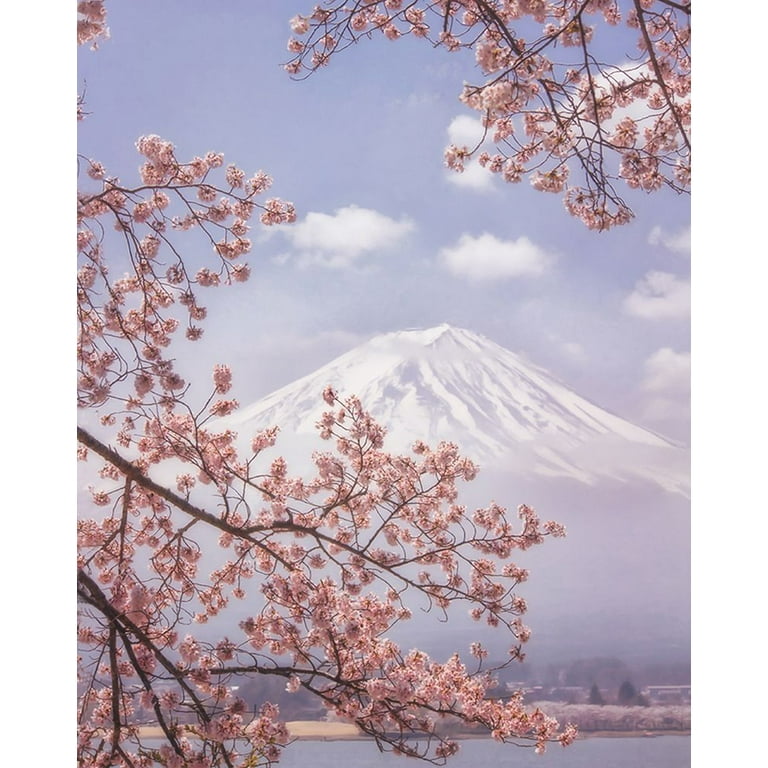 Samejima, Makiko 12x14 White Modern Wood Framed Museum Art