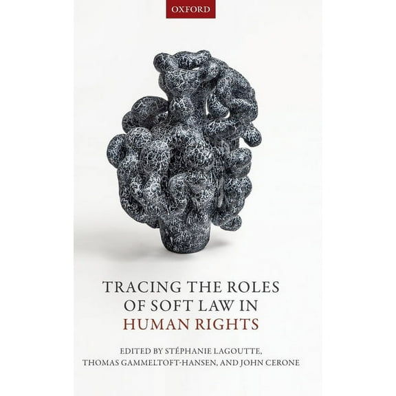 Tracing the Roles of Soft Law in Human Rights, (Hardcover)
