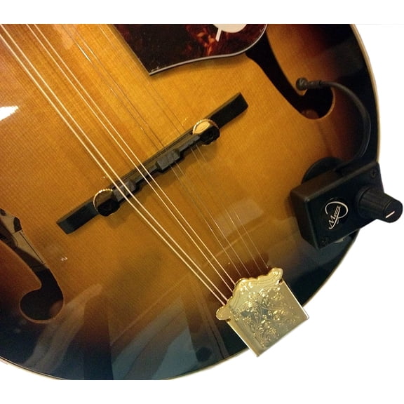 Mandolin Microphone with Flexible Micro-Gooseneck by Myers Pickups