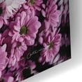 thumbnail image 3 of Epic Art 'Pale Daisies' by Elise Catterall, Acrylic Glass Wall Art, 24"x16", 3 of 8