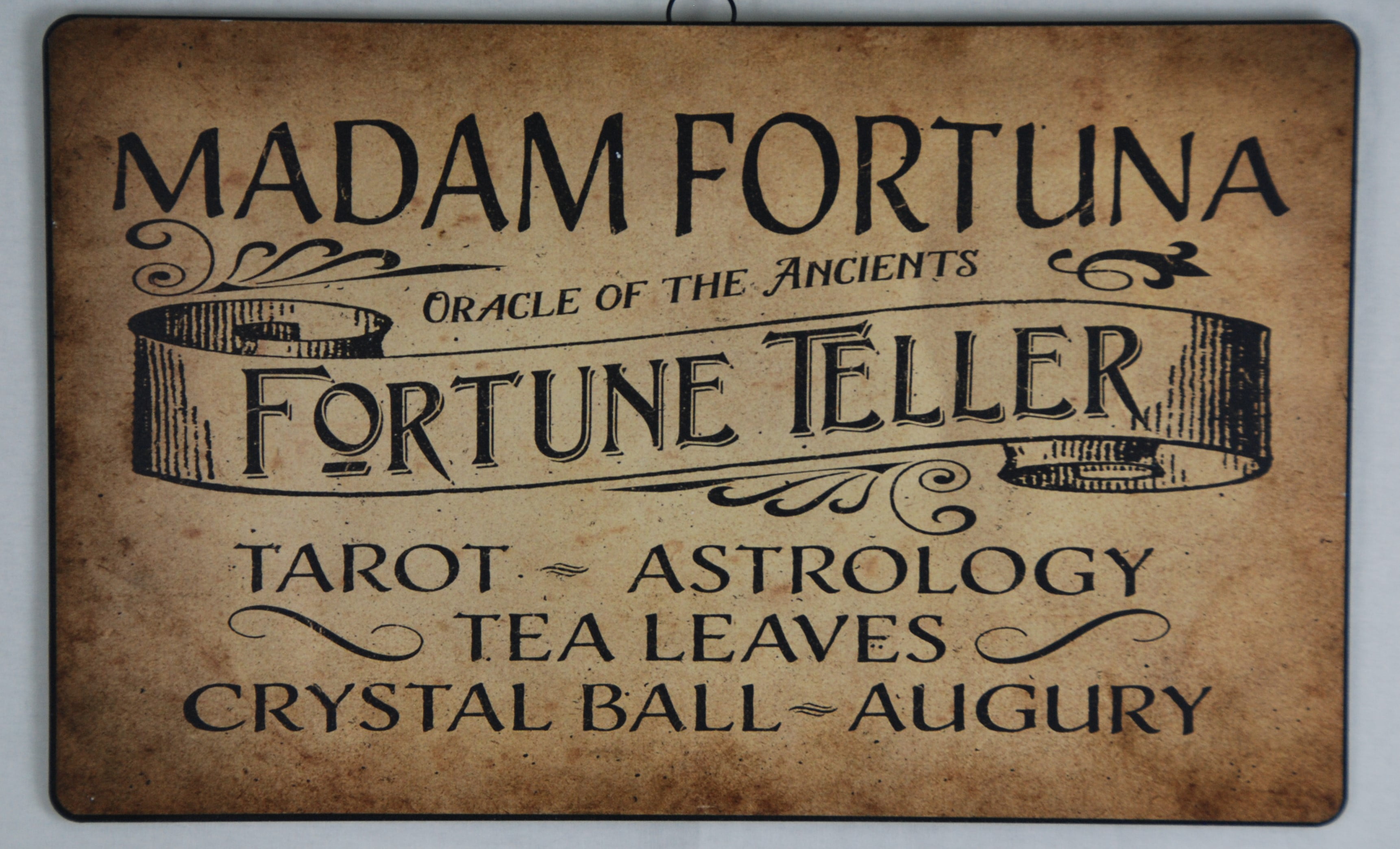 Way To Celebrate Halloween Metal Sign Fortune Teller Walmart Com Walmart Com