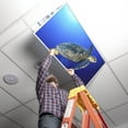 thumbnail image 5 of Octo Lights Fluorescent Light Covers for Classroom Office - Eliminate Harsh Glare Causing Eyestrain and Headaches. Office & Classroom Decorations - Ocean 008, 5 of 7