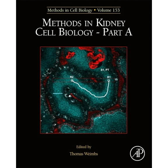 Methods in Cell Biology Methods in Kidney Cell Biology Part a: Volume 153, Book 153, (Hardcover)