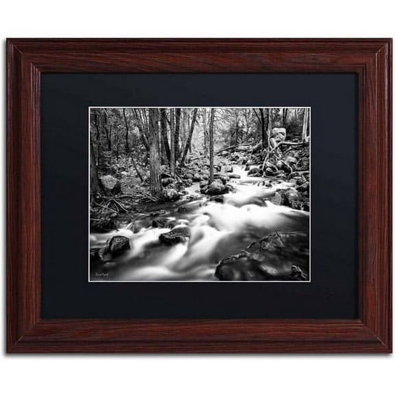 Trademark Fine Art "Yosemite National Park - California-I" Canvas Art by David Ayash, Black Matte, Wood Frame