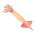 thumbnail image 2 of de en miniatura, modelo de simulación de que están , juguetes, regalos de cumpleaños para , Calamar Naranja 18.5x5.9x1.5cm Hugo Niños Ciencia Naturaleza, 2 of 7