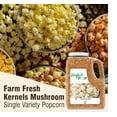 thumbnail image 2 of Concession Essentials Premium Gourmet MFF30 Mushroom Extra Large Popcorn Kernels - 8lb, 2 of 5