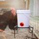 thumbnail image 2 of Soporte para comedero de gallinero, soporte metálico para bebedero, estante para comedero de pollos, soporte para comedero de gallinero, 2 of 7