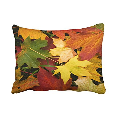fall decorative pillow covers
