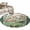 Green, variant on Round Rug 3.3Ft Washable Non-Slip, Animal Flowers Circle Area Rugs for Living Room Bedroom, Vintage Butterflies Dragonfly Floral Indoor Floor Mats Carpet Runner for Home Decor Aesthetic