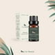thumbnail image 2 of Aceites Esenciales Aromaterapia Palo Santo UVa Natural 100% para Difusores y Humidificadores con Caj, 2 of 6
