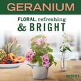 thumbnail image 3 of Jabón de manos MRS. MEYER'S CLEAN DAY Geranium 370 ml, paquete de 3, 3 of 8