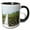 Black/White, variant on 3drose, Obelisk Sketch Landscape, 11oz Two-tone Red Mug