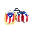 thumbnail image 1 of Set de bandera de coche y guantes de boxeo Banner PRK 14 de Puerto Rico, 1 of 8