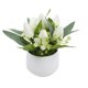 thumbnail image 1 of Tulipanes artificiales en miniatura en maceta, bonsái de flores artificiales para decoración de interiores, macetas falsas para escritorio, estante, hogar, oficina, decoración de flores, 1 of 6