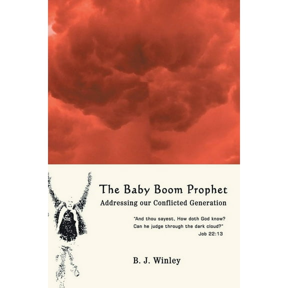 The Baby Boom Prophet : Addressing Our Conflicted Generation (Paperback)