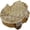 Design#5, variant on Indian Wood Stamps Fish Decorative Blocks Stamps For Clay Printing Block