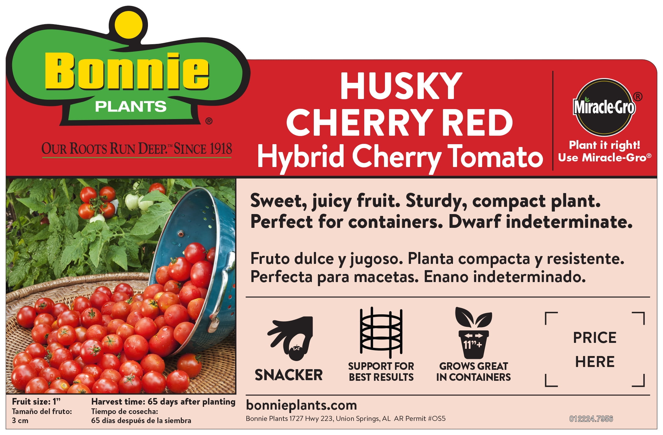 Cherry Tomato Varieties Chart