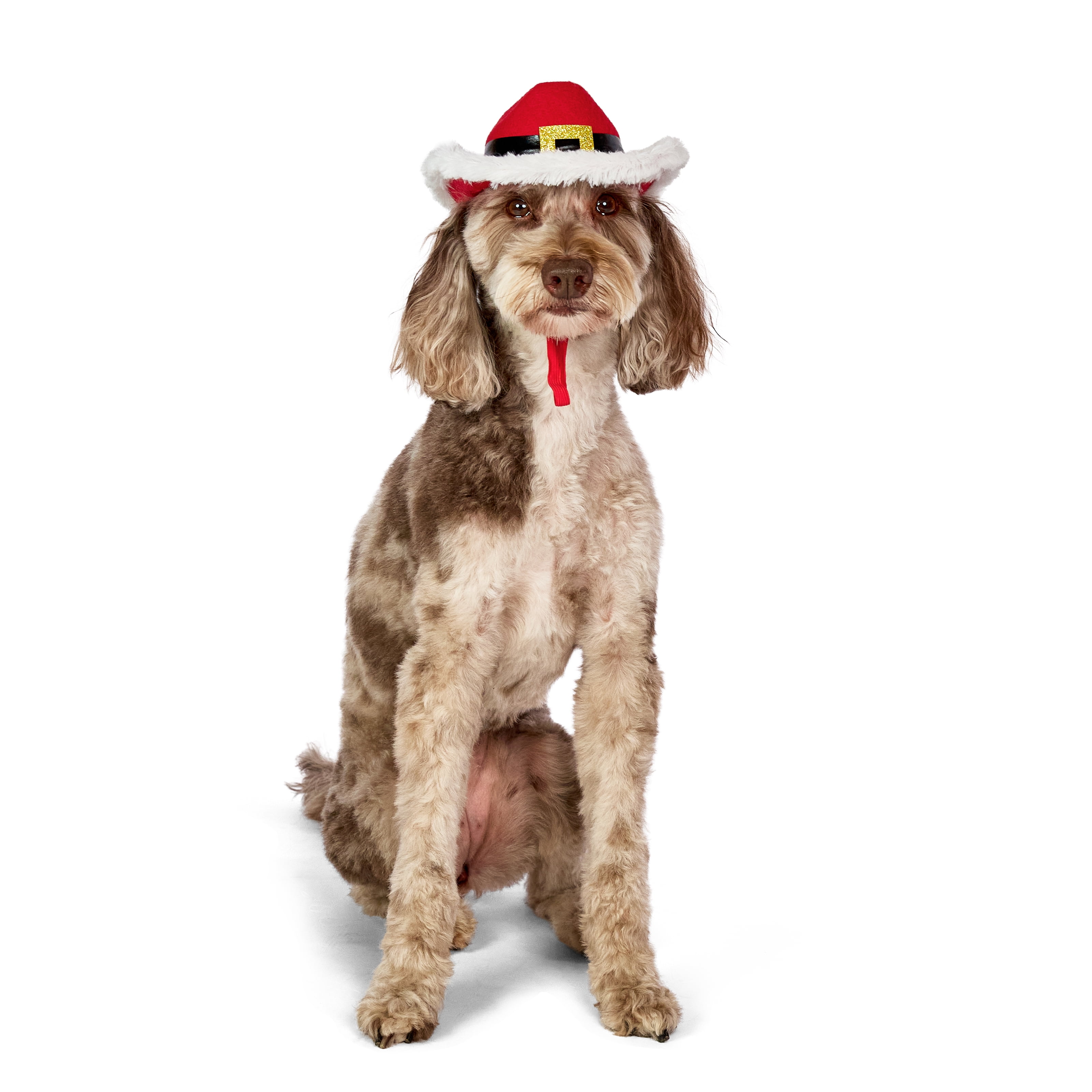 Vibrant Life Holiday Pet Santa Cowboy Hat for Dogs, Red, Medium/Large