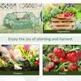 thumbnail image 6 of Outsunny 71" x 55" x 32" Mini Tunnel Greenhouse, Garden Planting Shed, Outdoor Flower Planter Warm House with Zipper Windows and Door, Green, 6 of 9