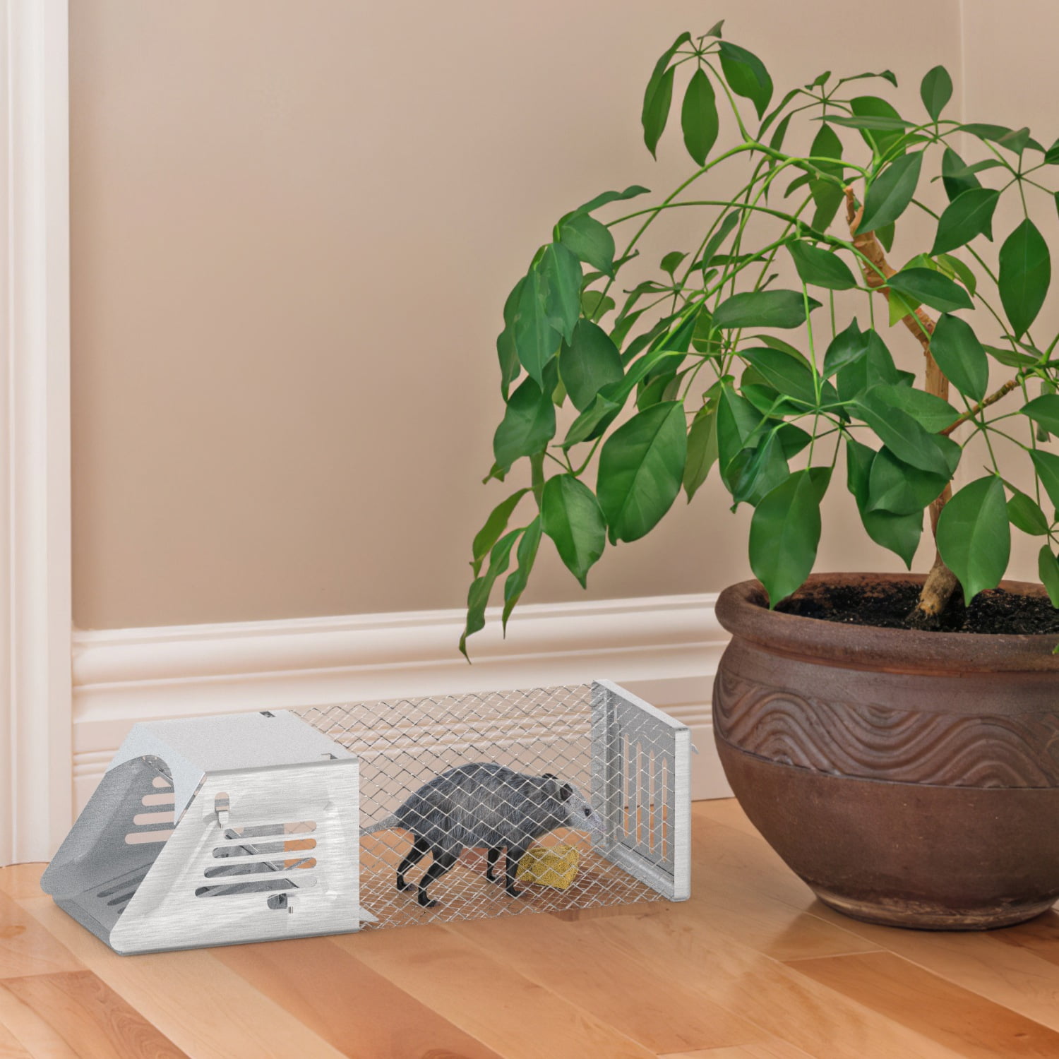 Zorpupoa 2Pc Humane Mouse Trap Cage Automatic Continuous Rat Trap with Single Way Door Reusable Catch And Release Live Cage Trap for Rodents Moles Voles Mice 10.62*3.93*3.54in