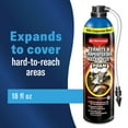 thumbnail image 2 of BioAdvanced Termite & Carpenter Bee Killer Plus, Foam Spray, 18 oz Plus kills ants, wood-infesting beetles and other listed insects, 2 of 7