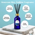 thumbnail image 3 of 8 OZ Reed Diffusers Set Citrus, Luxury Scented Room Fresheners with 6 Reed Sticks, Luxury Blue Glass Bottle for Bathroom Office Shelf Decor, 3 of 3