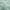 Bean Green, variant on JIUZHEN White Sheer Curtains 90 Inches Long - Grommet Semi Transparent Light Filtering Window Drapes for Bedroom Living Room, 52Wx 90L, Set of 2 with Tiebacks