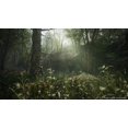 thumbnail image 5 of Console PlayStation®5 (modèle mince) PLUS Metal Gear Solid Δ Snake Eater: Tactical Edition pour (PS5), 5 of 5