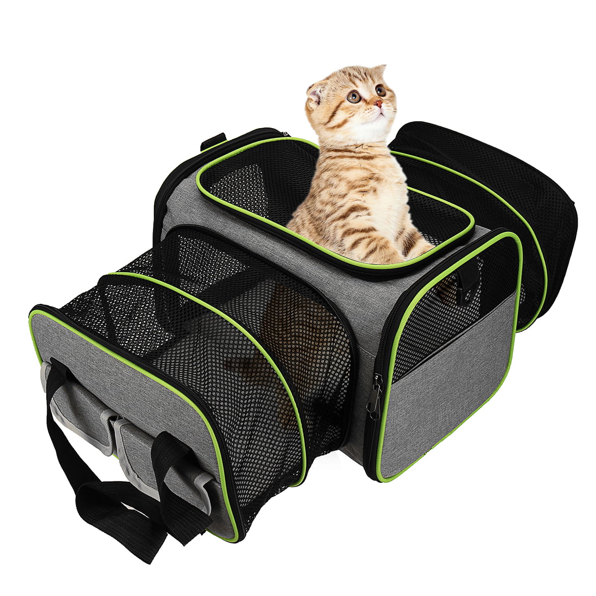 Camping Airline Approved Backpack Bag for Travel WDM Pet Carrier Backpack for Dogs and Cats Hiking Designed for Cat/Puppies/Guinea Pig/Bunny Walking & Outdoor Use