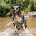 thumbnail image 4 of Juguete para Perros Chuckit! Ultra Ball Talla Grande para Perros de 27-45 kg Paquete de 2, 4 of 6