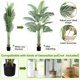 thumbnail image 5 of Artificial Palmera, Planta de Palma Areca Falsa Tropical de Seda de Palma con 15 Troncos, Planta de Piso de Palma Paraíso en Maceta para Decoración de Interiores y Exteriores, Hogar, Oficina y Jardín, 5 of 9
