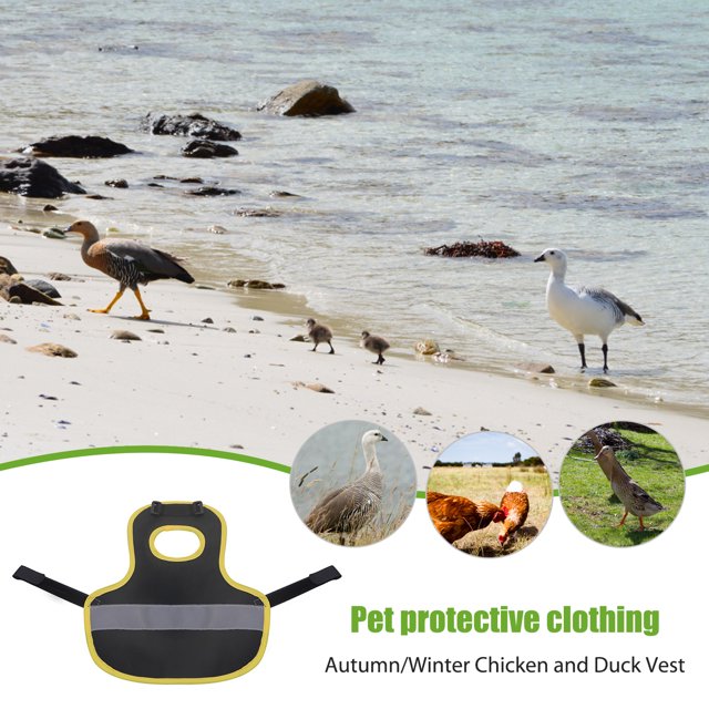 Chaleco reflectante de pollo, pato, ganso, aves de corral, ropa de protección nocturna (negro) Ndcxsfigh Para estrenar