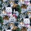 David Textiles, Inc. 45" 100% Cotton Valentine's Kittens Craft Fabric By the Yard, Multi-color