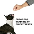thumbnail image 3 of Hive Bites - Dog Treats for Training, 3 of 8