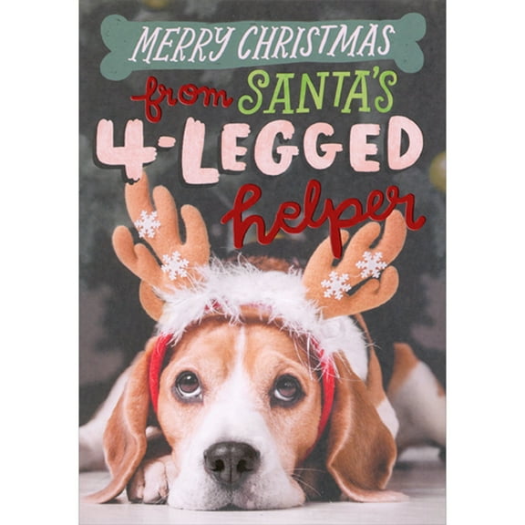 Designer Greetings Santa's 4-Legged Helper: Dog Wearing Antlers Christmas Card from Dog