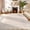 Beige, variant on GlowSol 2x6 Washable Scalloped Lace Runner Rug, Non-Slip Vintage Low Pile Carpet for Living Room Bedroom, Brown