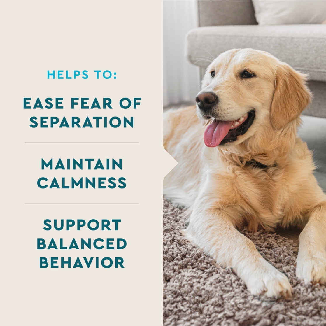 (6 pack) VetIQ Calming Support Supplement Soft Chews for Dogs, Hickory Smoke Flavored Soft Chews, 60 Count