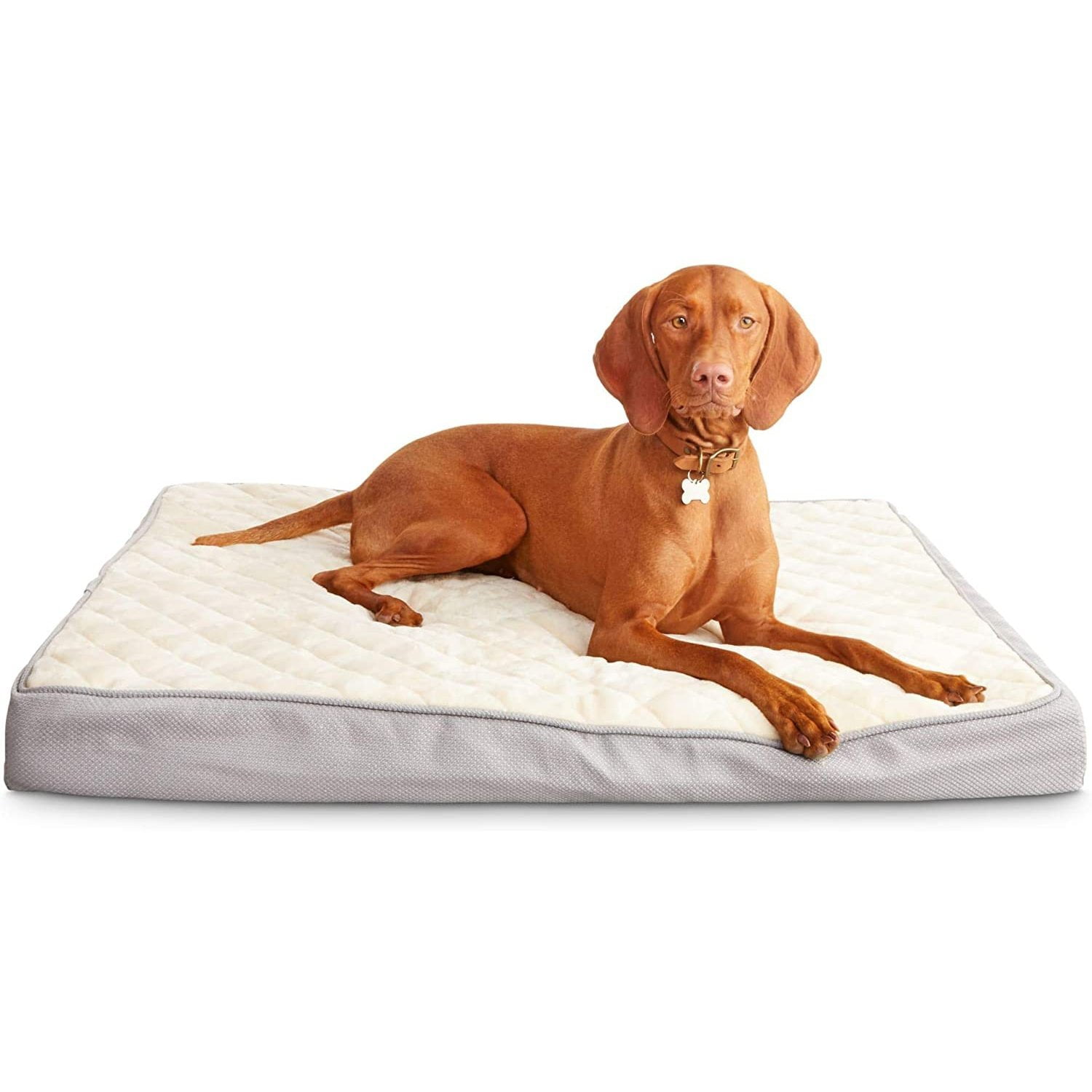 harmony dog bed