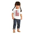 thumbnail image 4 of USA American Flag Distressed Stencil Toddler Boy Girl T Shirt Infant Toddler Brisco Brands 4T, 4 of 6