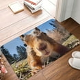 thumbnail image 5 of Daiia Close-Up Curious Squirrel Front Door Mat, Heavy Duty Durable Welcome Mat for Outdoor Indoor, Dirt Trapper Waterproof Super Absorbent Door Mat, 16" x 24", 5 of 9
