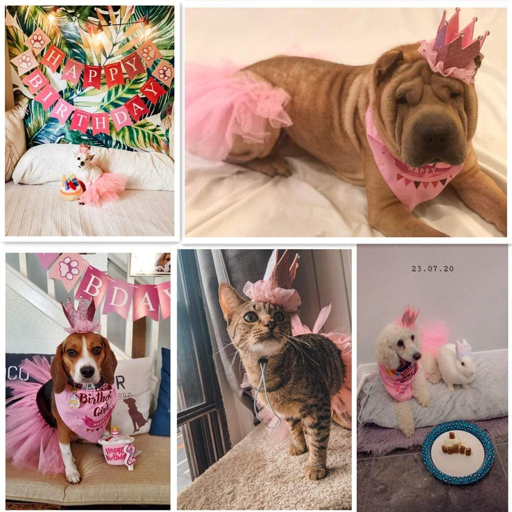 Dog Birthday Bandana Girl Birthday Party Supplies Pink Tutu Skirt Crown Hat Scarf Happy Birthday Banner Dog Girl Birthday Outfit for Pet Puppy Cat Girl Walmart