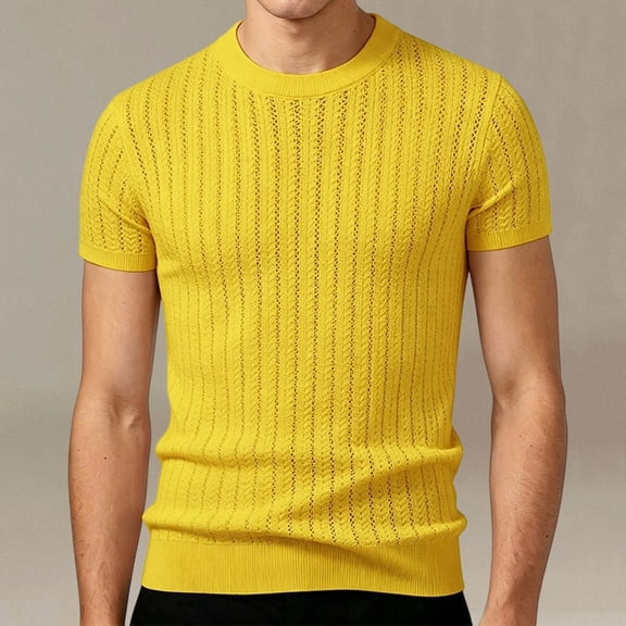 COSFO T Shirts for Man Summer Short Sleeve Knit Shirt Slim Fit Solid Crew Neck Casual Shirts for Men L