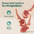 thumbnail image 3 of Jinx Lamb, Sweet Potato, & Carrot Dry Dog Food, Grain Free, 4lb. Bag, 3 of 13