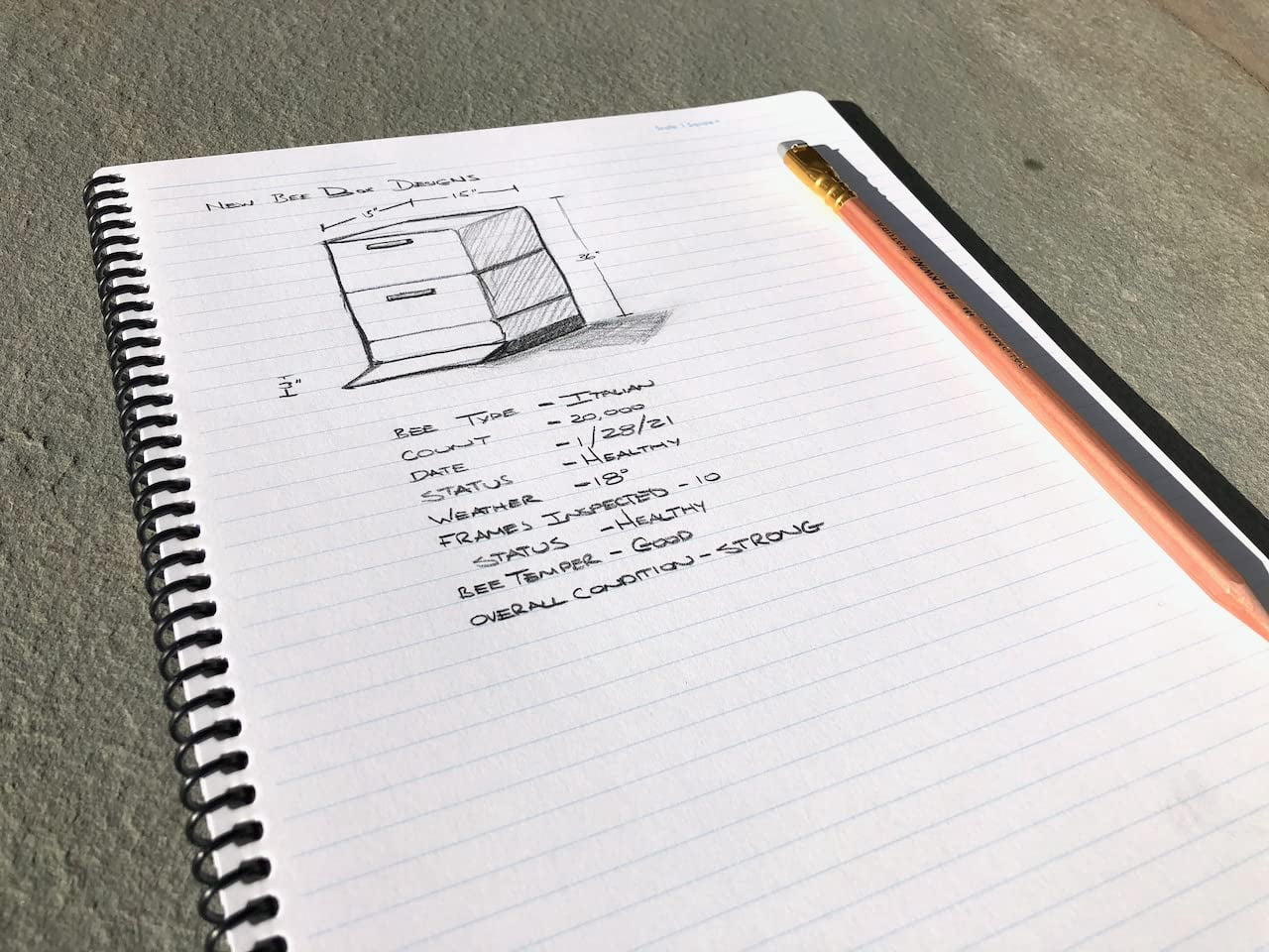 Hydronote Waterproof Side Spiral Notebook, Universal Page Pattern 11 x 8.75 x 0.5 (Dinosaurs!)