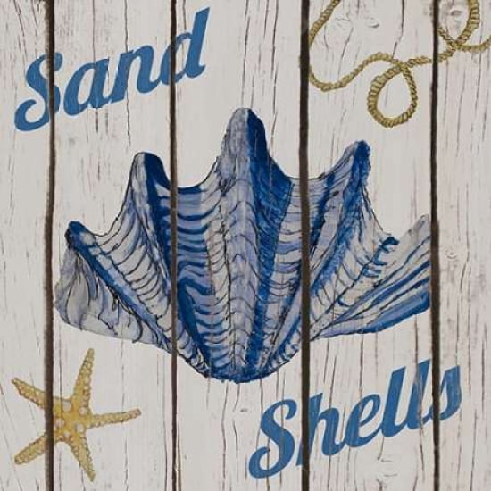 Nautical Shells I Canvas Art - Gina Ritter ()