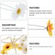 thumbnail image 4 of 16 piezas de accesorios para el cabello con forma de girasol, pinzas para el cabello con flores, diademas, tocados de boda, 4 of 6
