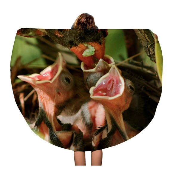POGLIP 60 inch Round Beach Towel Blanket Male Cardinal Brings Green Worm Caterpillar to The Nest Travel Circle Circular Towels Mat Tapestry Beach Throw